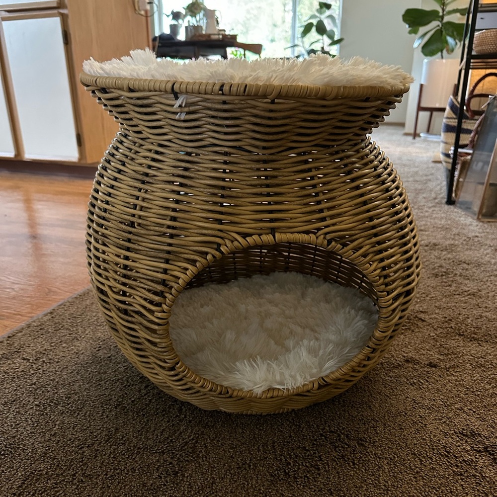 Cat Condo